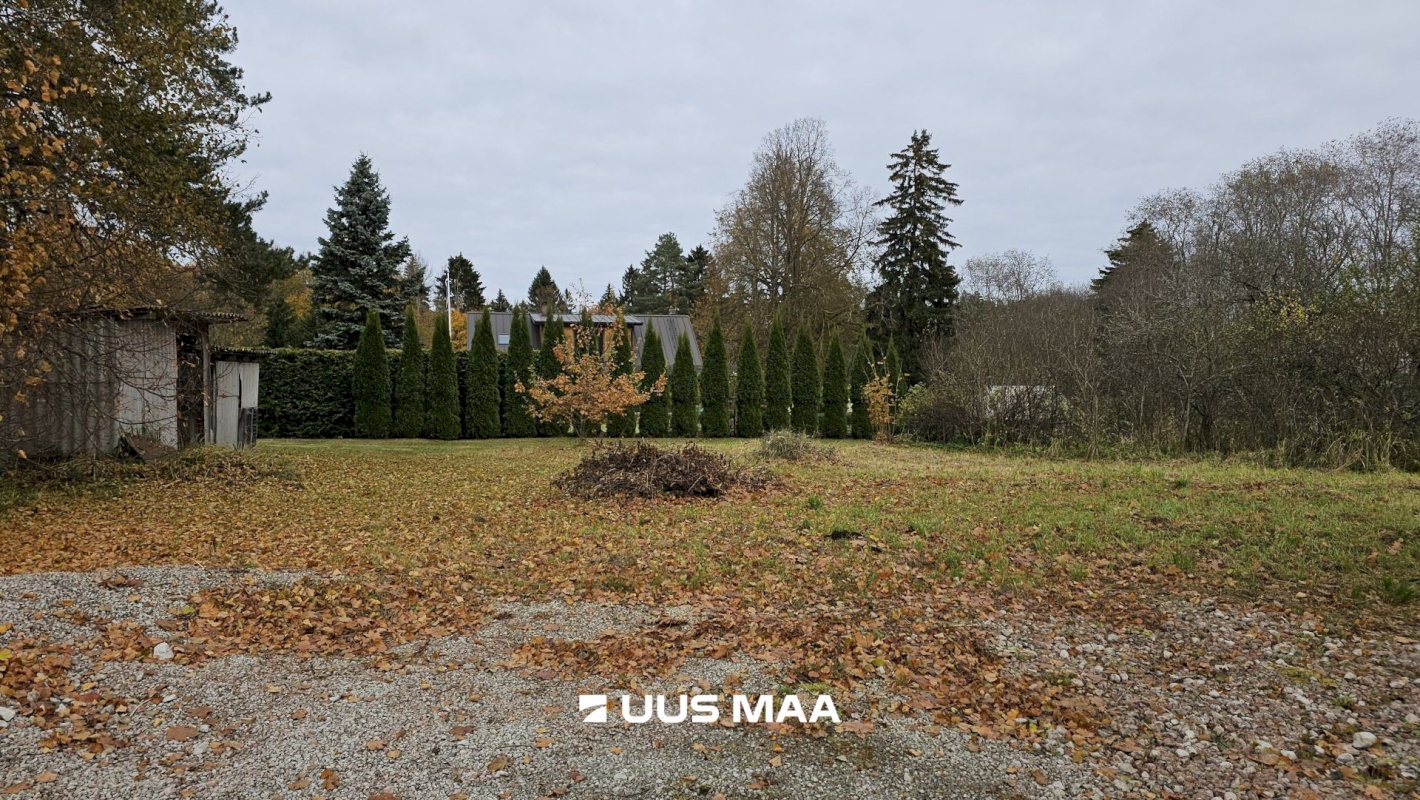 Toila vald, Voka alevik, Ranniku 12