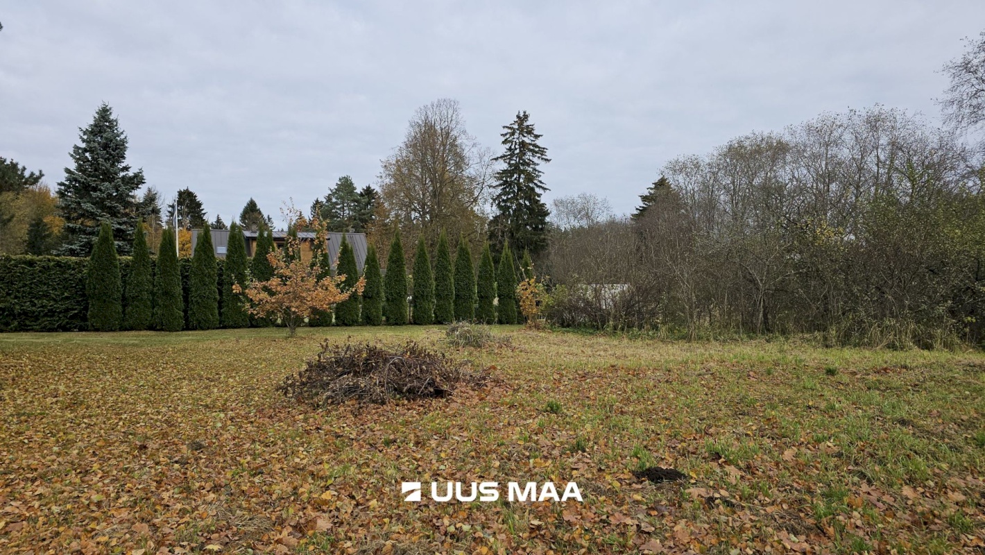 Toila vald, Voka alevik, Ranniku 12