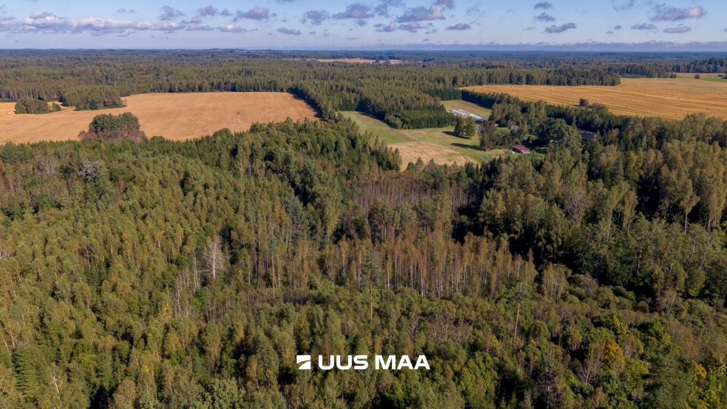 Kanepi vald, Karste küla, Kaasiku