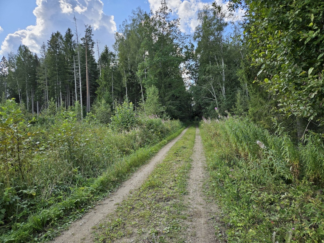 Vinni vald, Ulvi küla