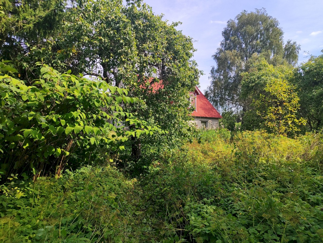 Märjamaa vald, Märjamaa alev, Aia 7