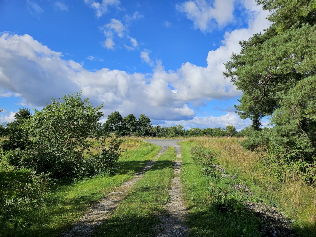 Rakvere vald, Aluvere küla, Tiidemanni
