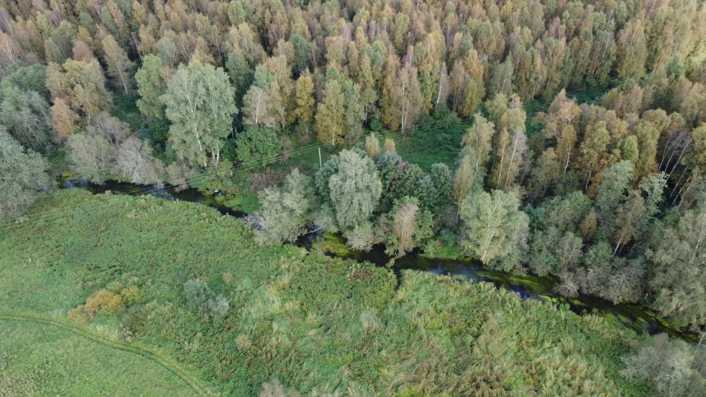 Rakvere vald, Aluvere küla, Tiidemanni