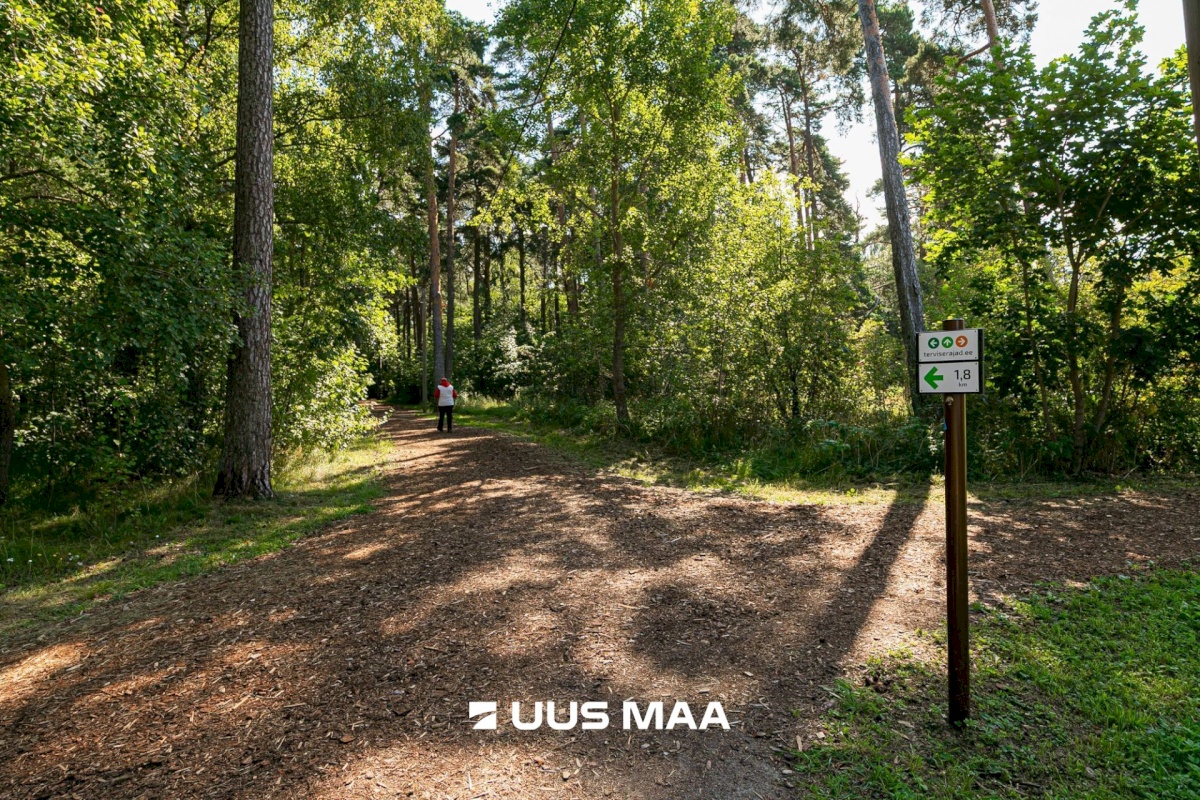 Tallinn, Haabersti linnaosa, Lahepea 19