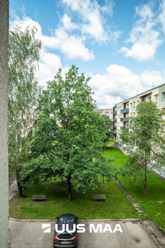 Valga vald, Valga linn, Vahtra 3