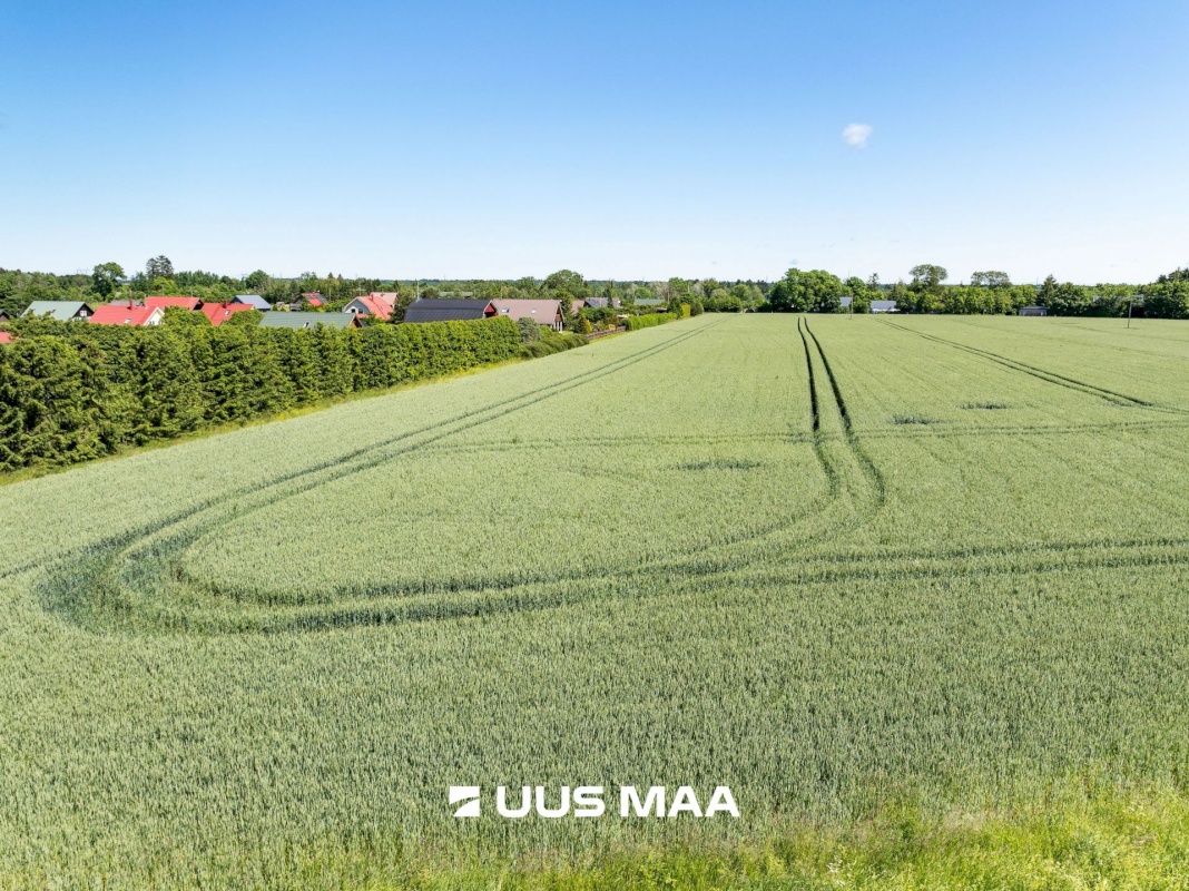 Saue vald, Alliku küla, Kaevu tee 1