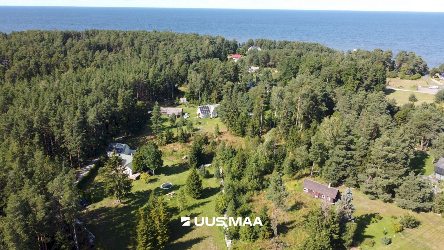 Haljala vald, Vainupea küla, Toominga