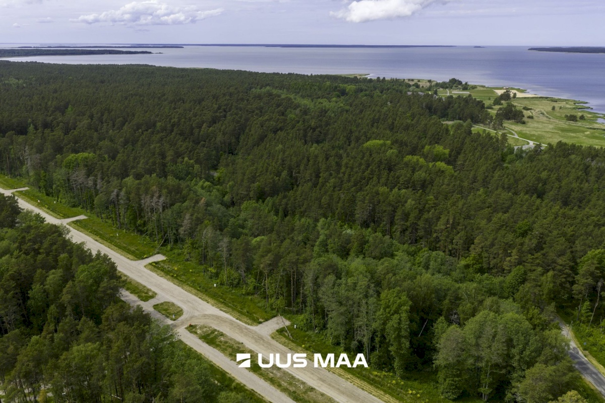 Haapsalu linn, Haapsalu linn, Paralepa tee 6