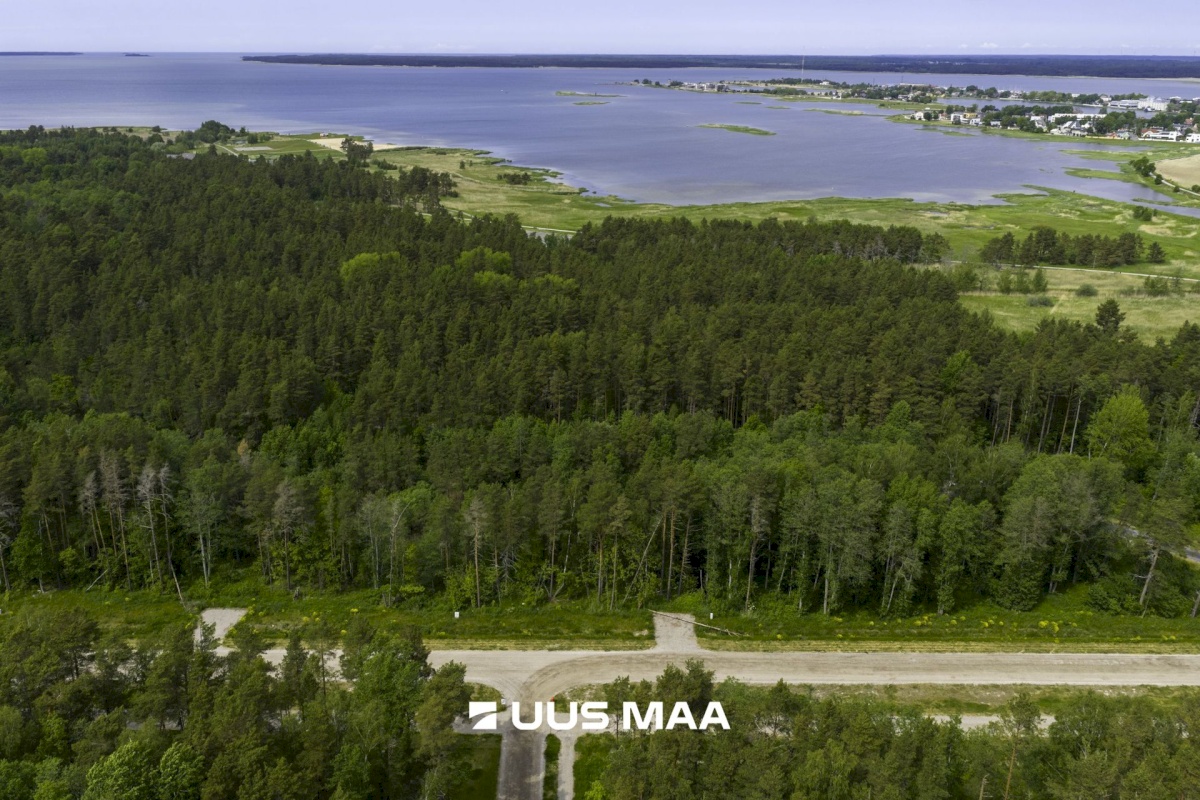 Haapsalu linn, Haapsalu linn, Paralepa tee 6