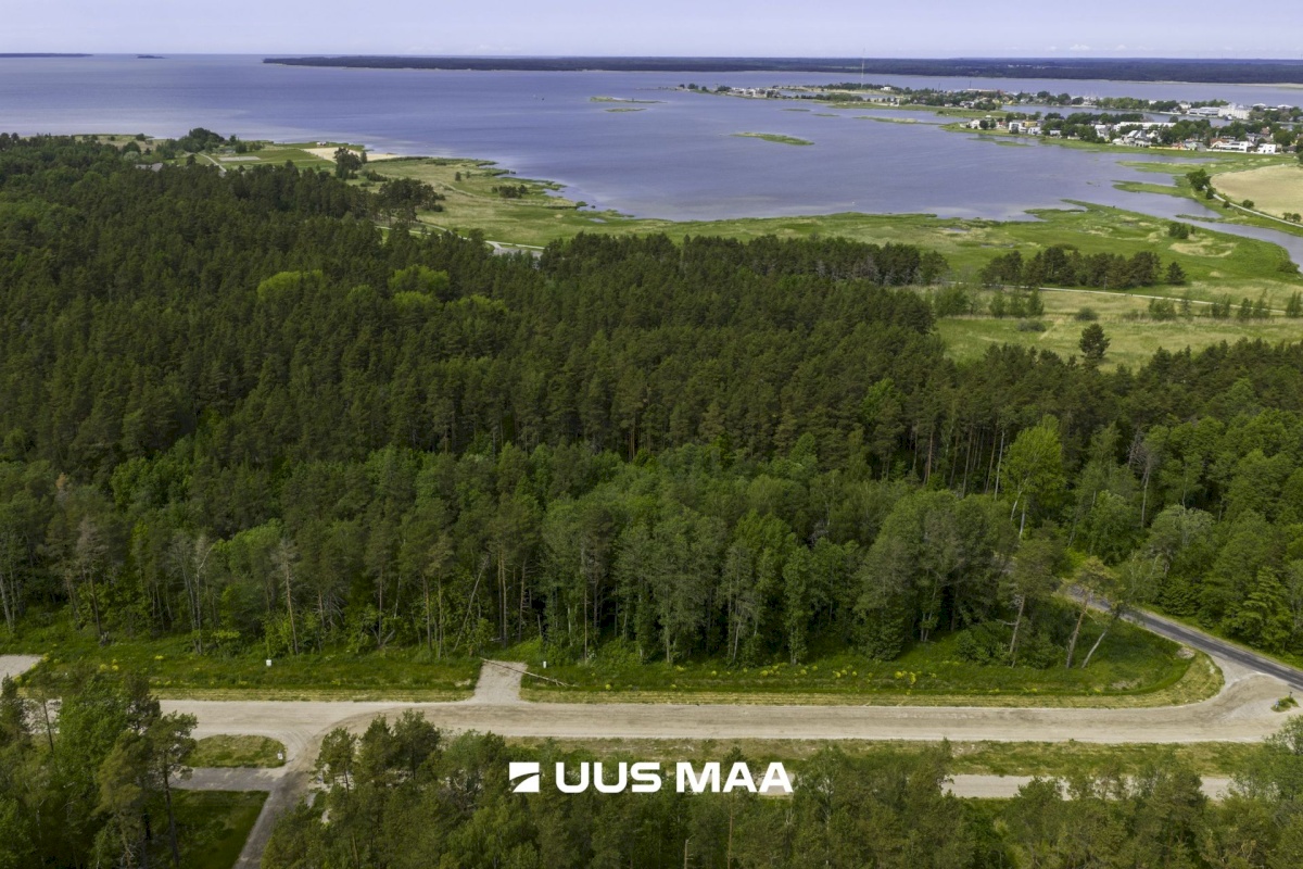 Haapsalu linn, Haapsalu linn, Paralepa tee 6