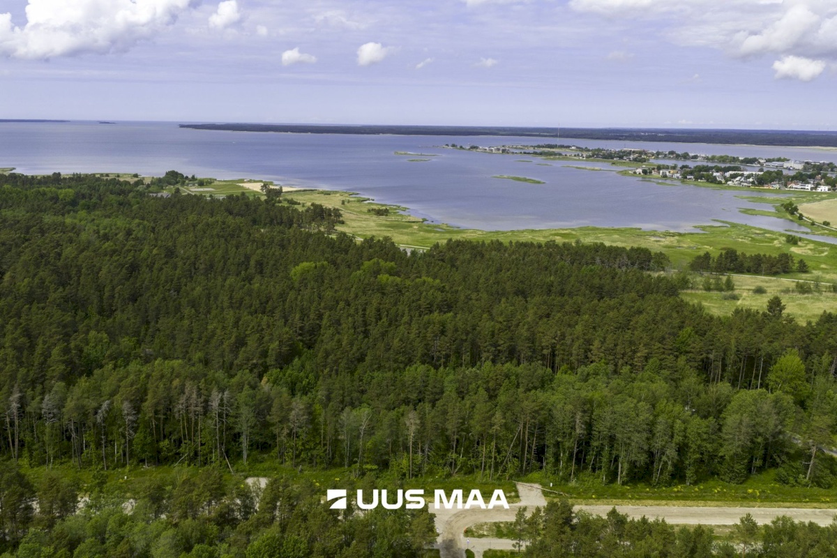 Haapsalu linn, Haapsalu linn, Paralepa tee 6