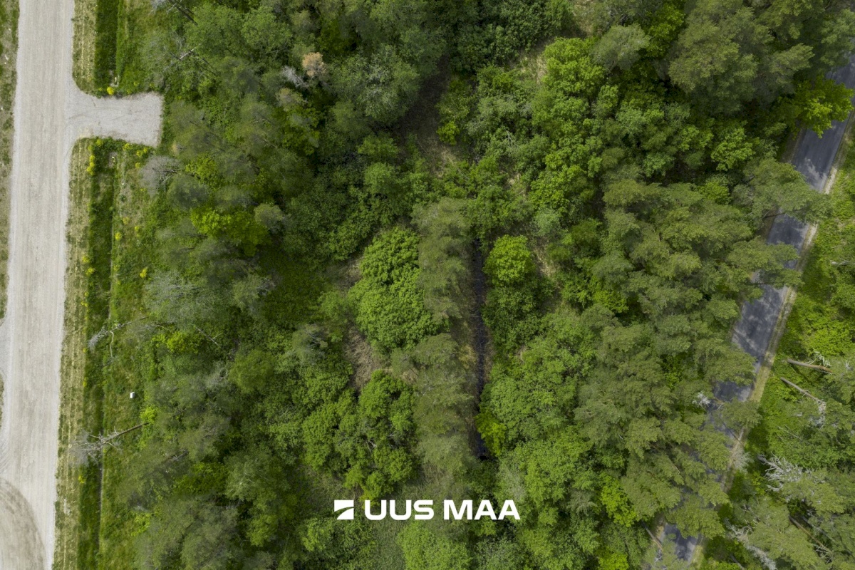 Haapsalu linn, Haapsalu linn, Paralepa tee 6