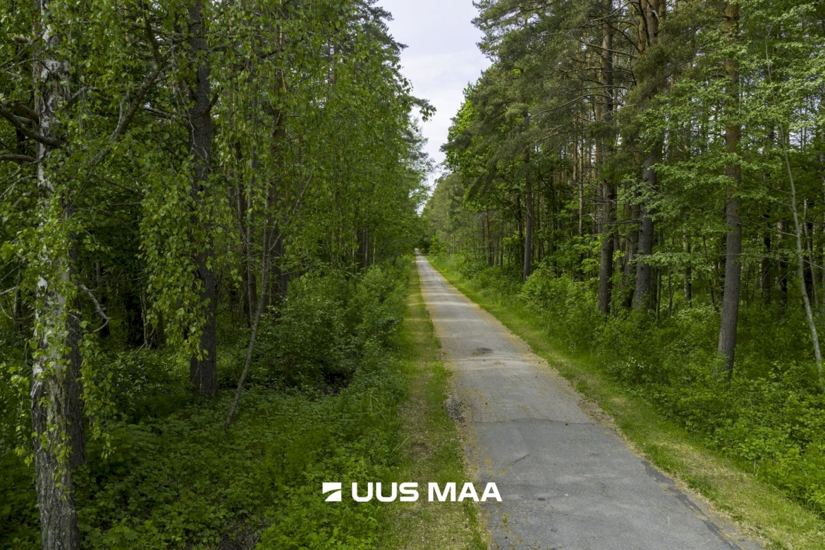 Haapsalu linn, Haapsalu linn, Paralepa tee 6