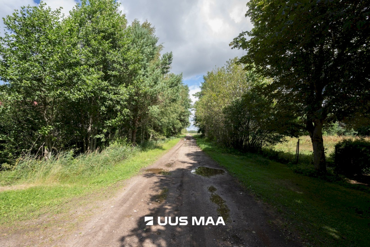Hiiumaa vald, Emmaste-Kurisu küla, Sarapuu