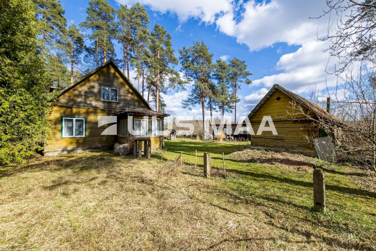 Elva vald, Elva linn, Lootuse tn 2