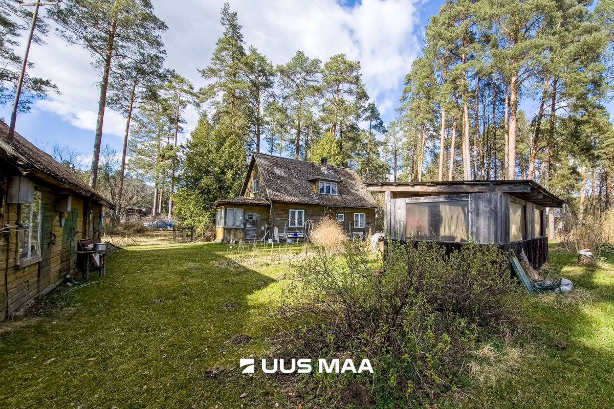 Elva vald, Elva linn, Lootuse tn 2