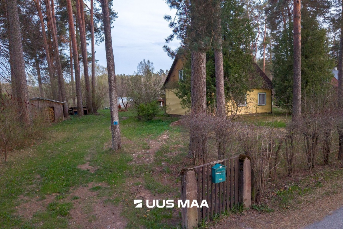 Elva vald, Elva linn, Lootuse tn 2