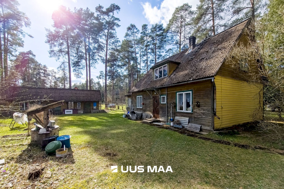 Elva vald, Elva linn, Lootuse tn 2