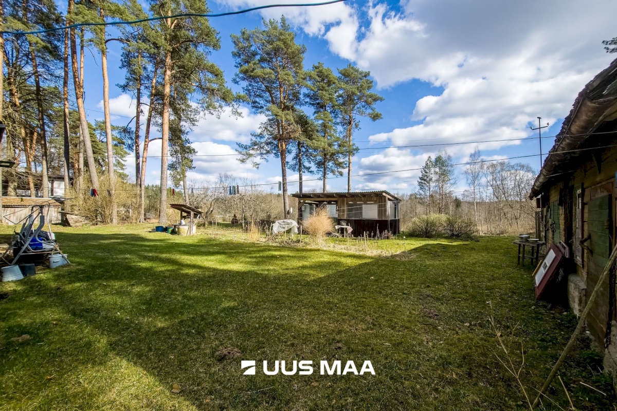 Elva vald, Elva linn, Lootuse tn 2