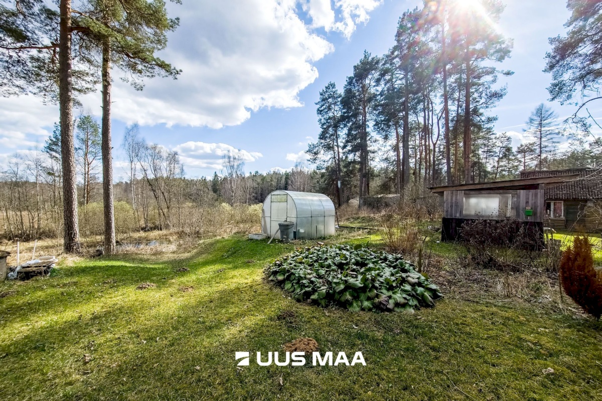 Elva vald, Elva linn, Lootuse tn 2