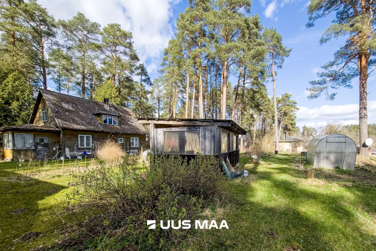 Elva vald, Elva linn, Lootuse tn 2