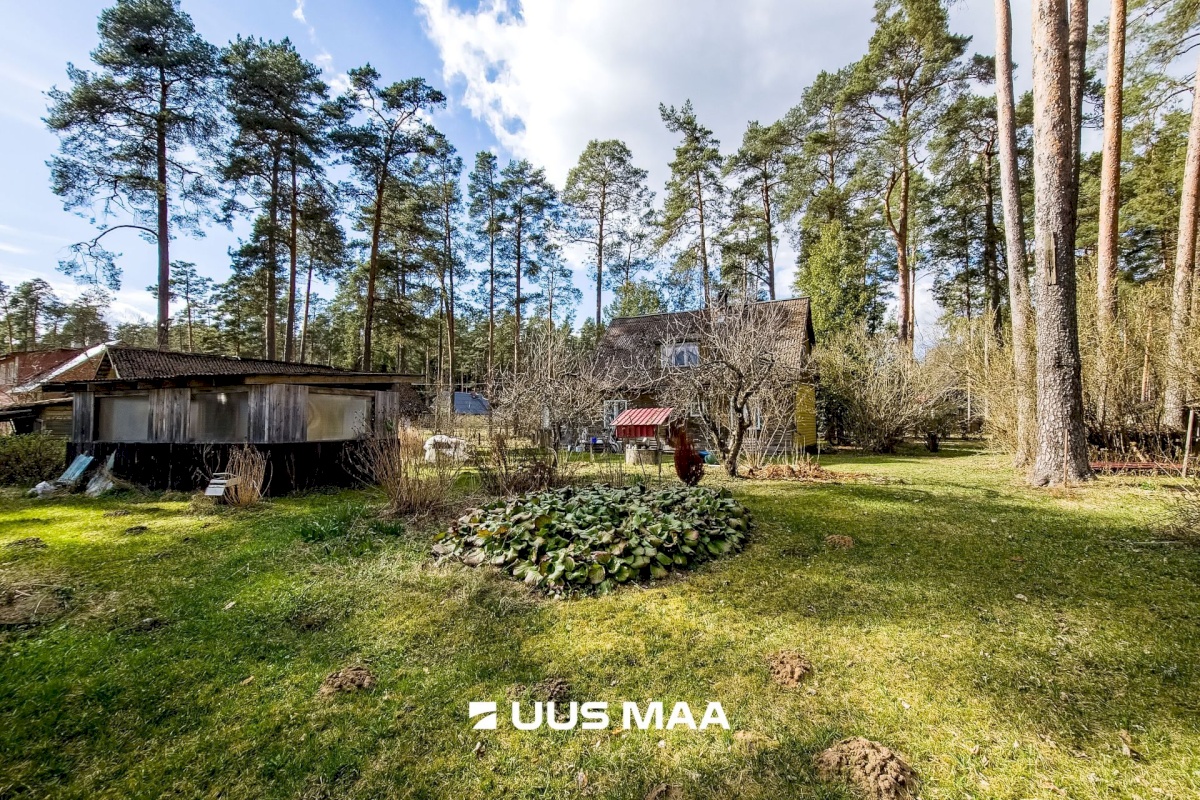 Elva vald, Elva linn, Lootuse tn 2