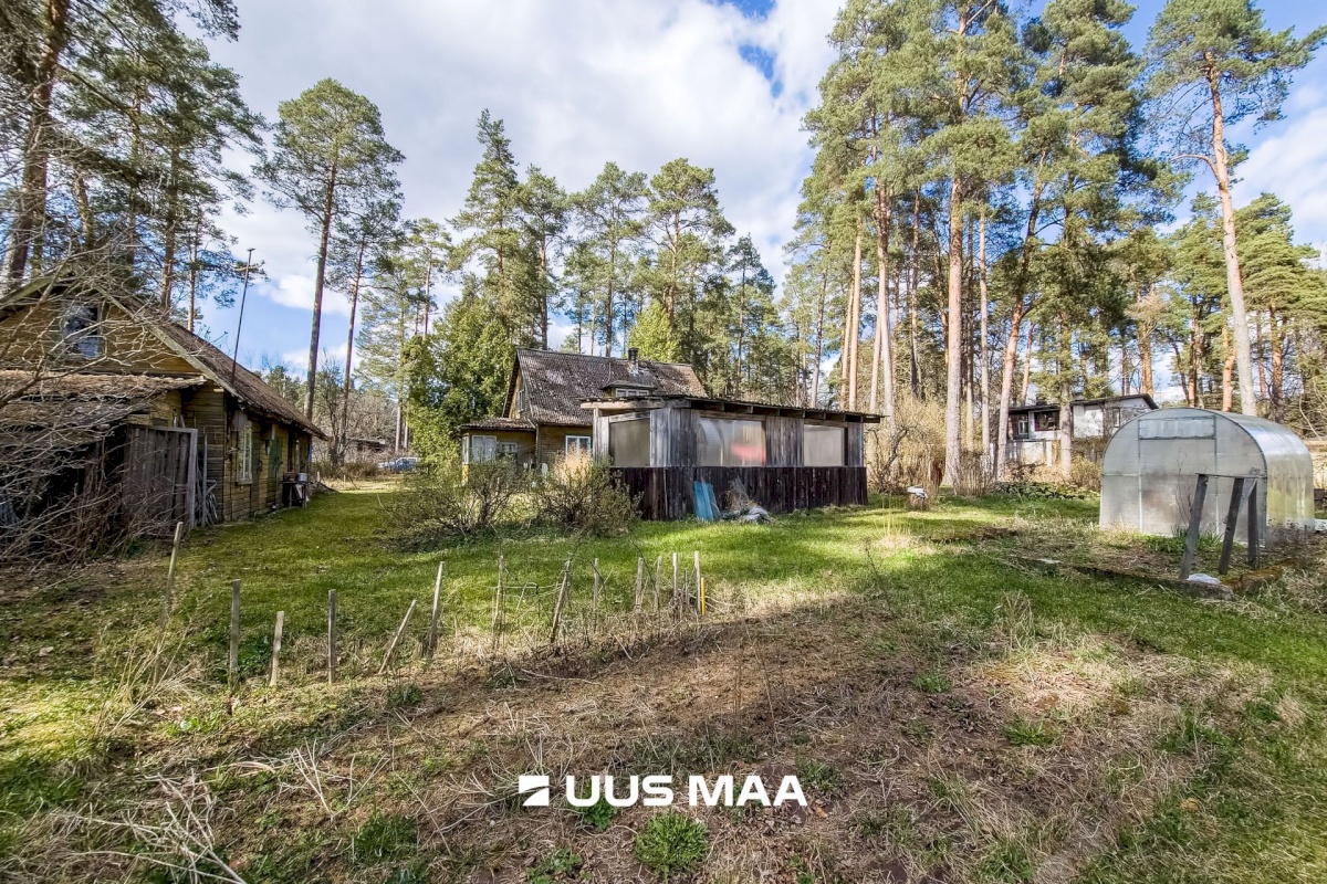 Elva vald, Elva linn, Lootuse tn 2