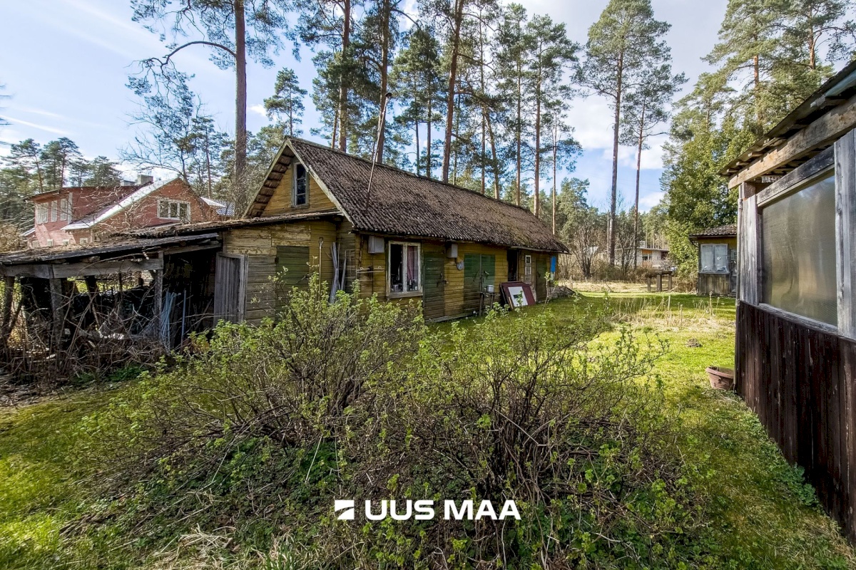 Elva vald, Elva linn, Lootuse tn 2