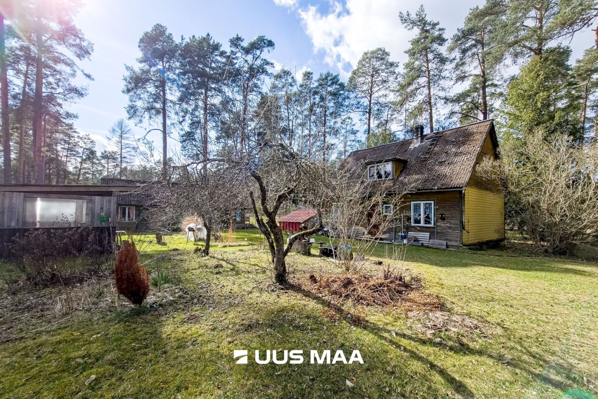 Elva vald, Elva linn, Lootuse tn 2