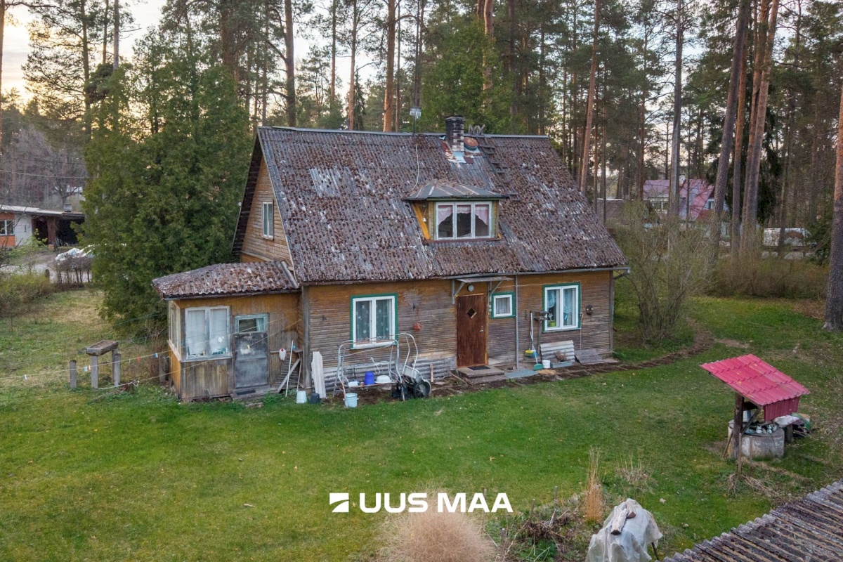 Elva vald, Elva linn, Lootuse tn 2