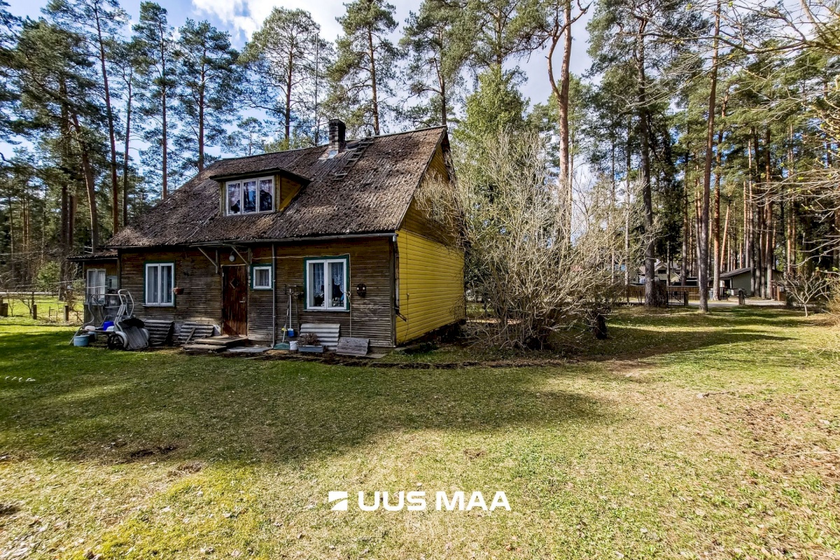 Elva vald, Elva linn, Lootuse tn 2