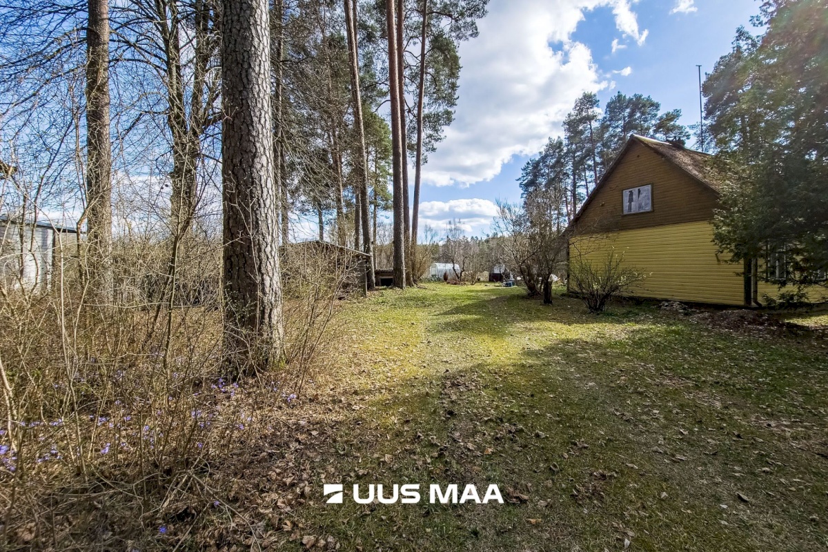 Elva vald, Elva linn, Lootuse tn 2