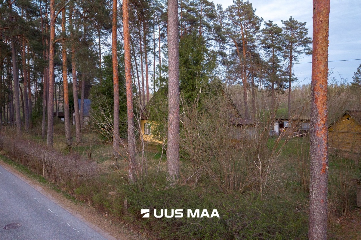 Elva vald, Elva linn, Lootuse tn 2