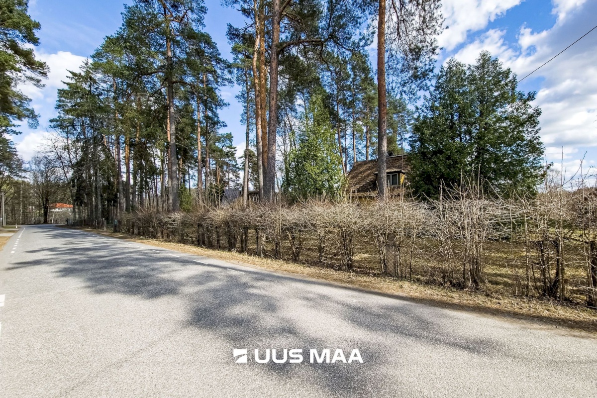 Elva vald, Elva linn, Lootuse tn 2