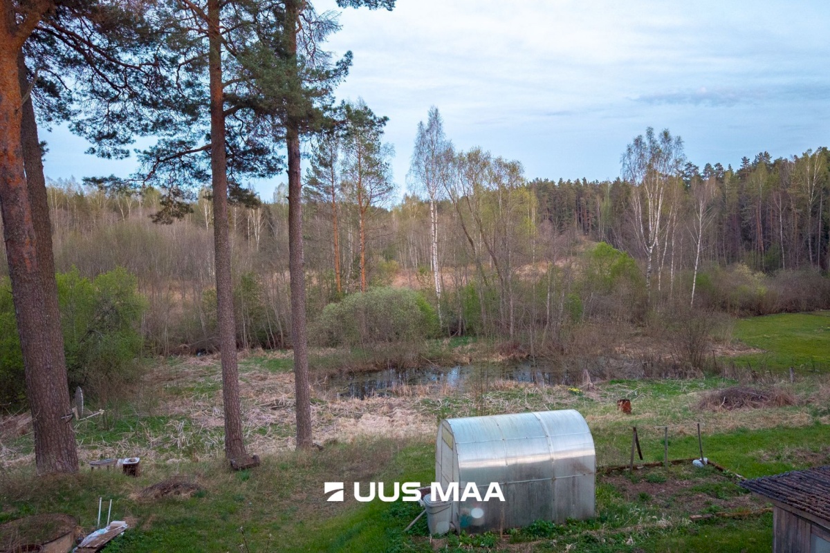 Elva vald, Elva linn, Lootuse tn 2