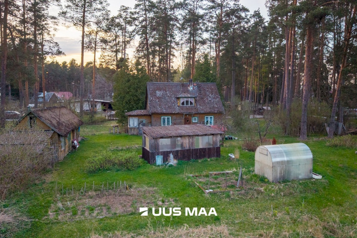 Elva vald, Elva linn, Lootuse tn 2
