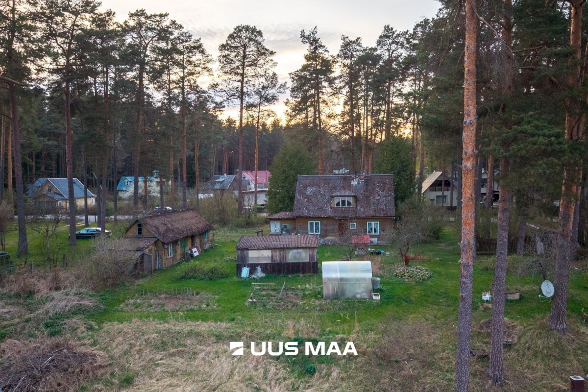 Elva vald, Elva linn, Lootuse tn 2
