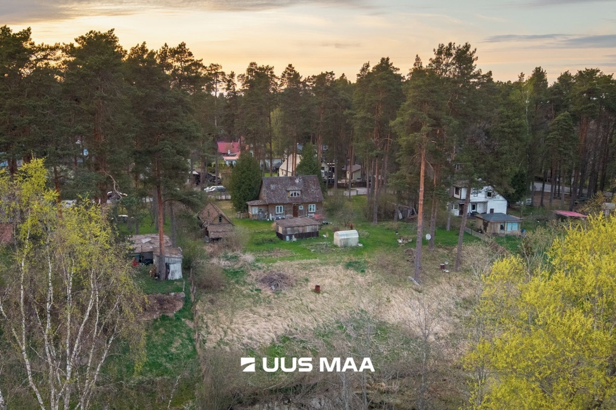 Elva vald, Elva linn, Lootuse tn 2