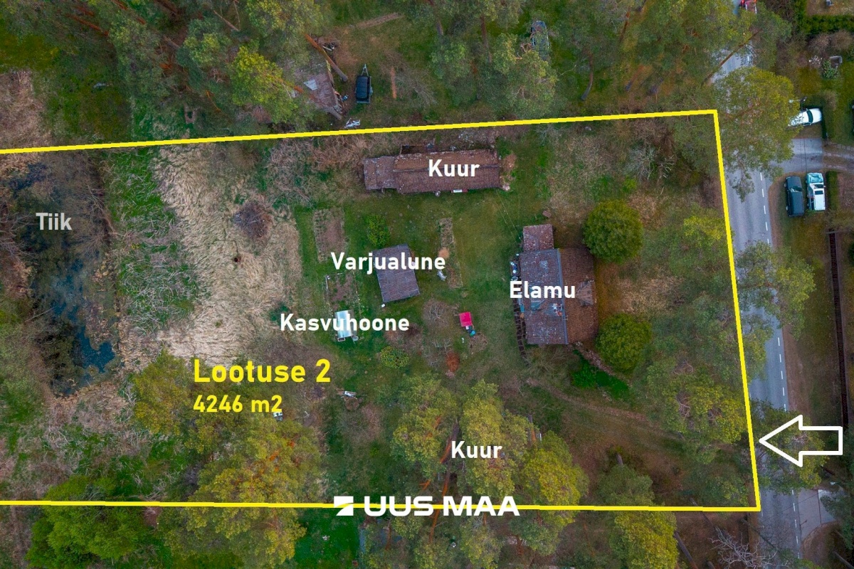 Elva vald, Elva linn, Lootuse tn 2