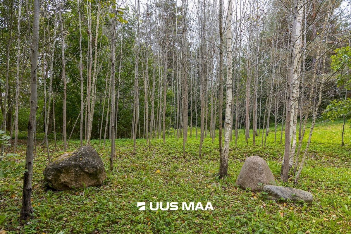 Põlva vald, Kauksi küla, Haavamäe