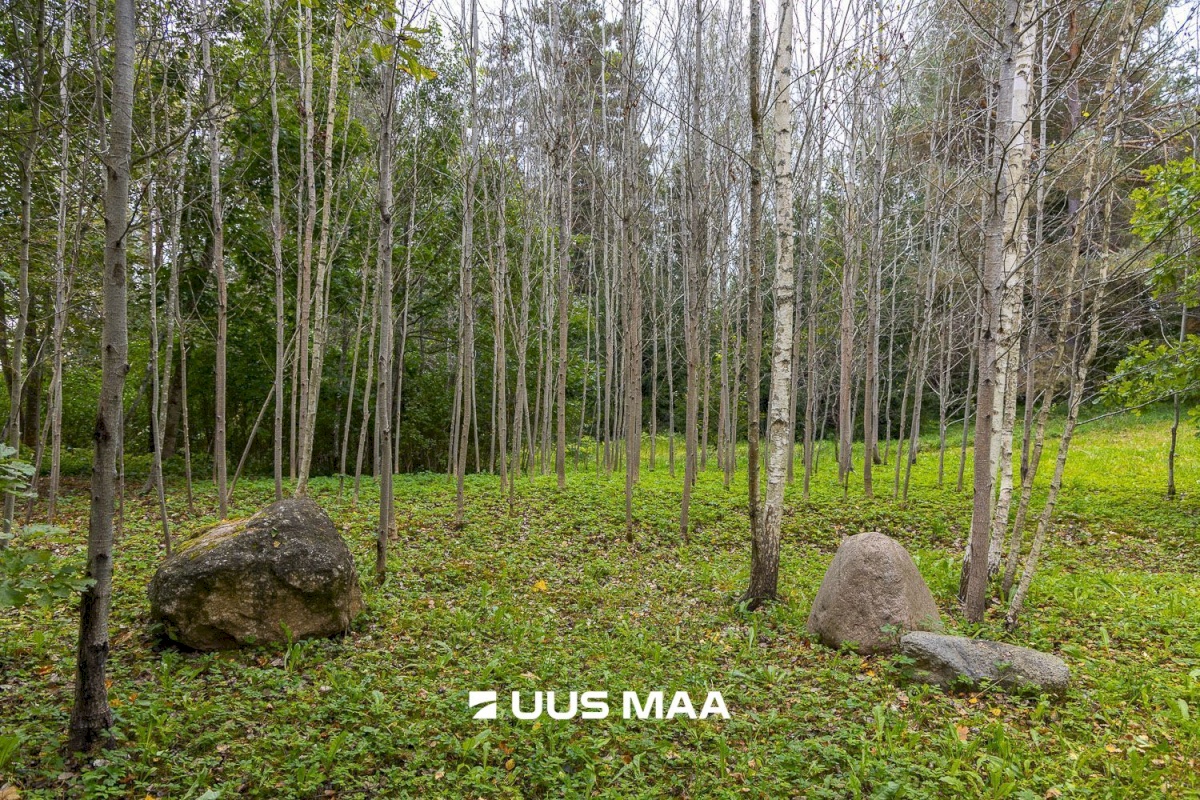 Põlva vald, Kauksi küla, Haavamäe