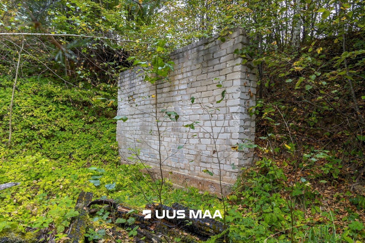 Põlva vald, Kauksi küla, Haavamäe