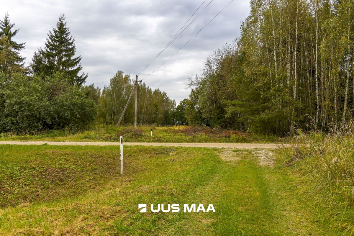 Põlva vald, Kauksi küla, Haavamäe