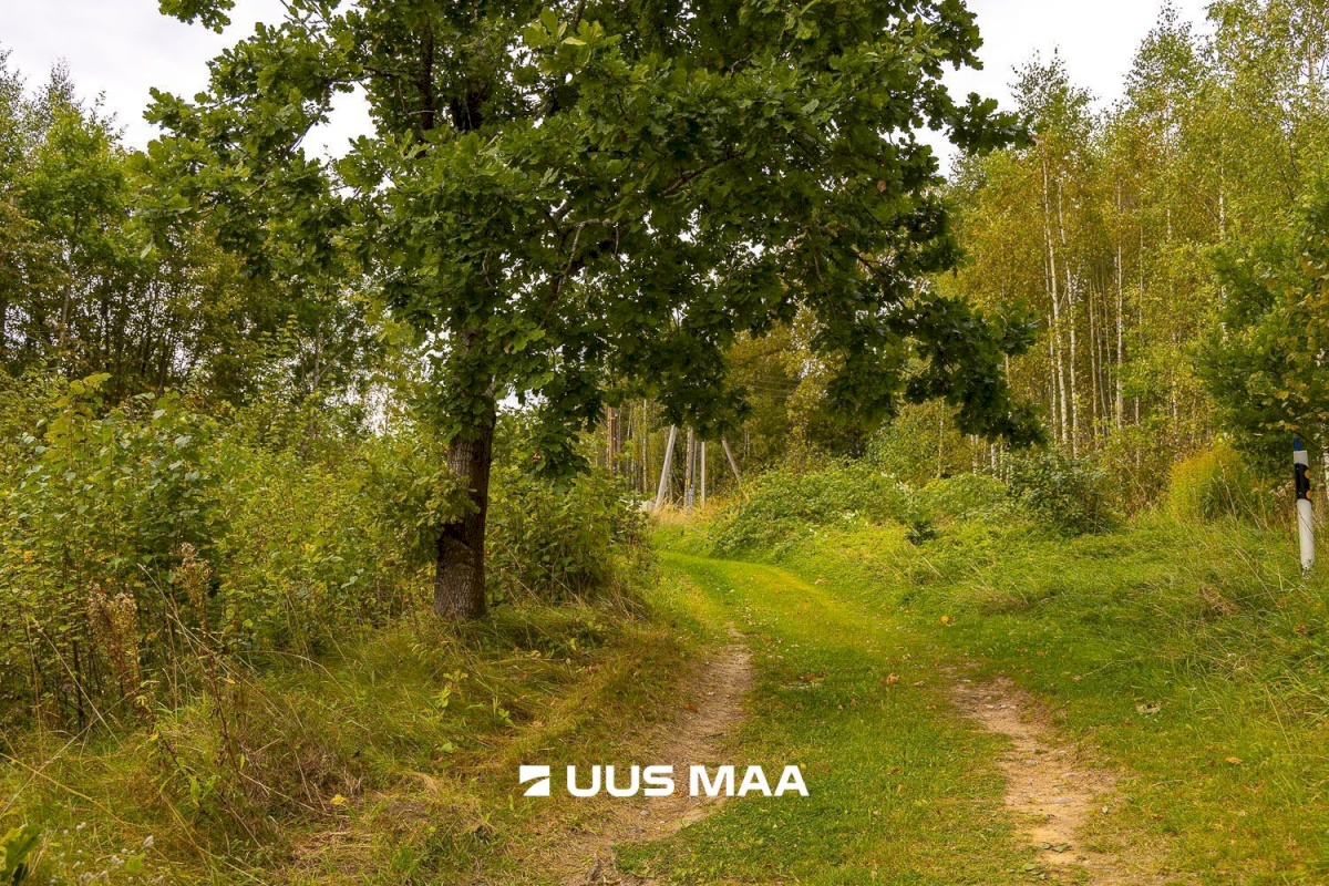 Põlva vald, Kauksi küla, Haavamäe