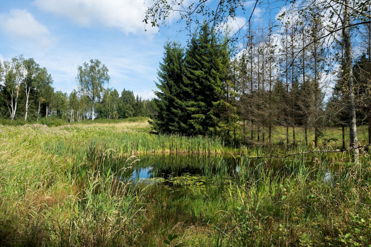 Võru vald, Mäekülä