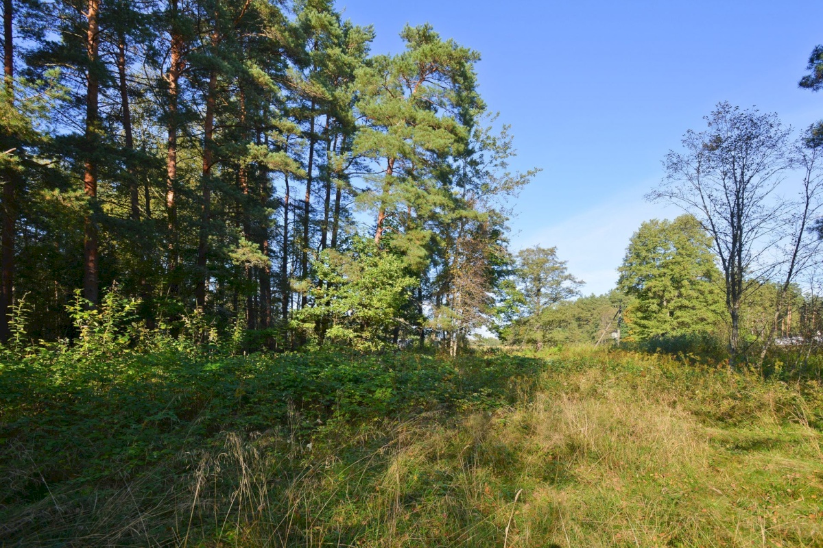 Pärnu linn, Valgeranna küla