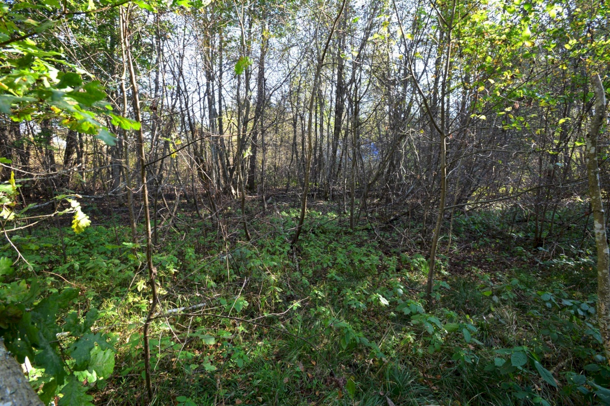 Pärnu linn, Valgeranna küla