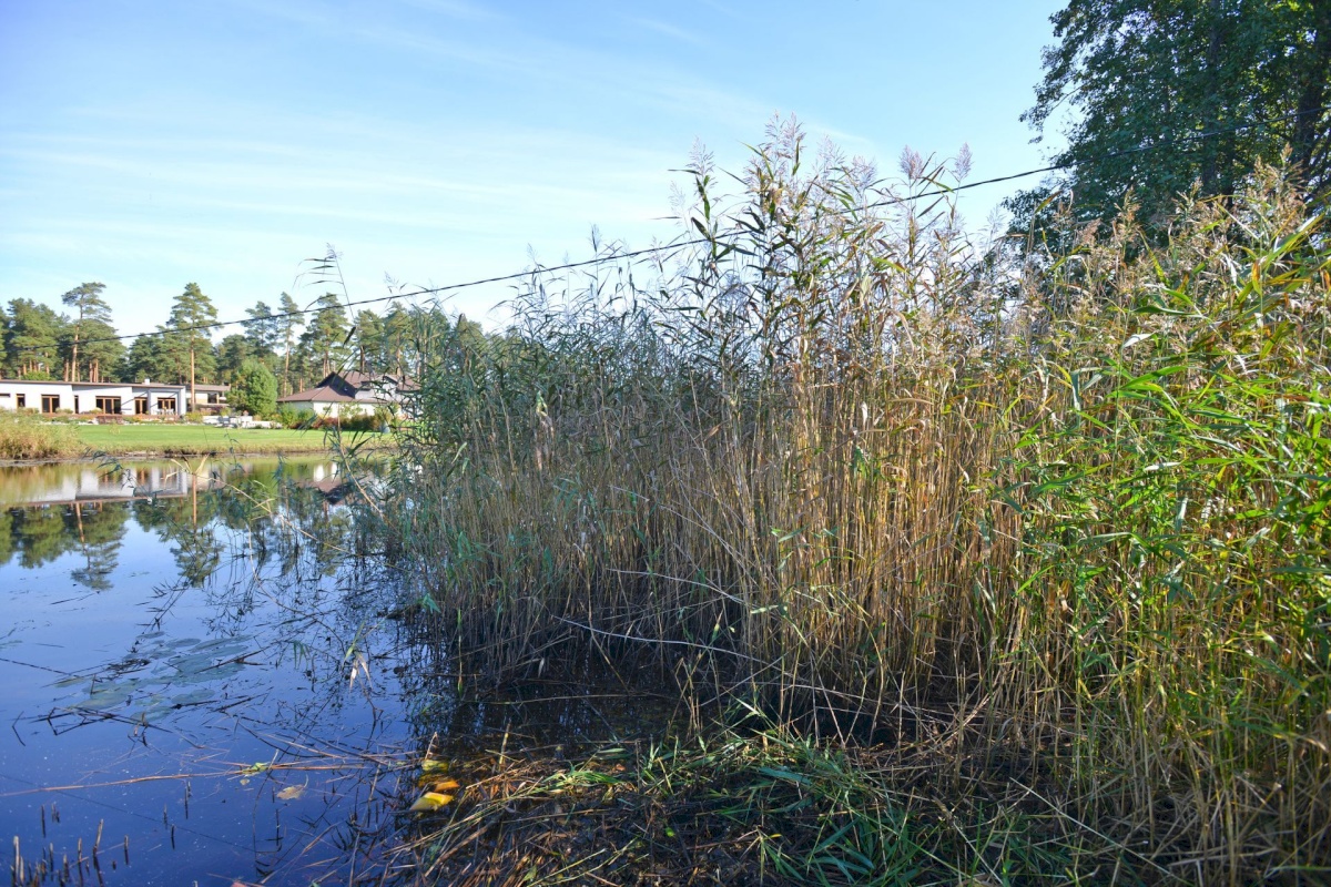 Pärnu linn, Valgeranna küla