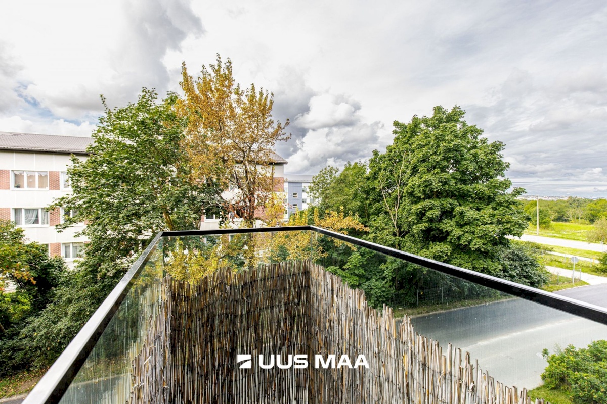 Tallinn, Kesklinna linnaosa, Kadriorg, Valge 16