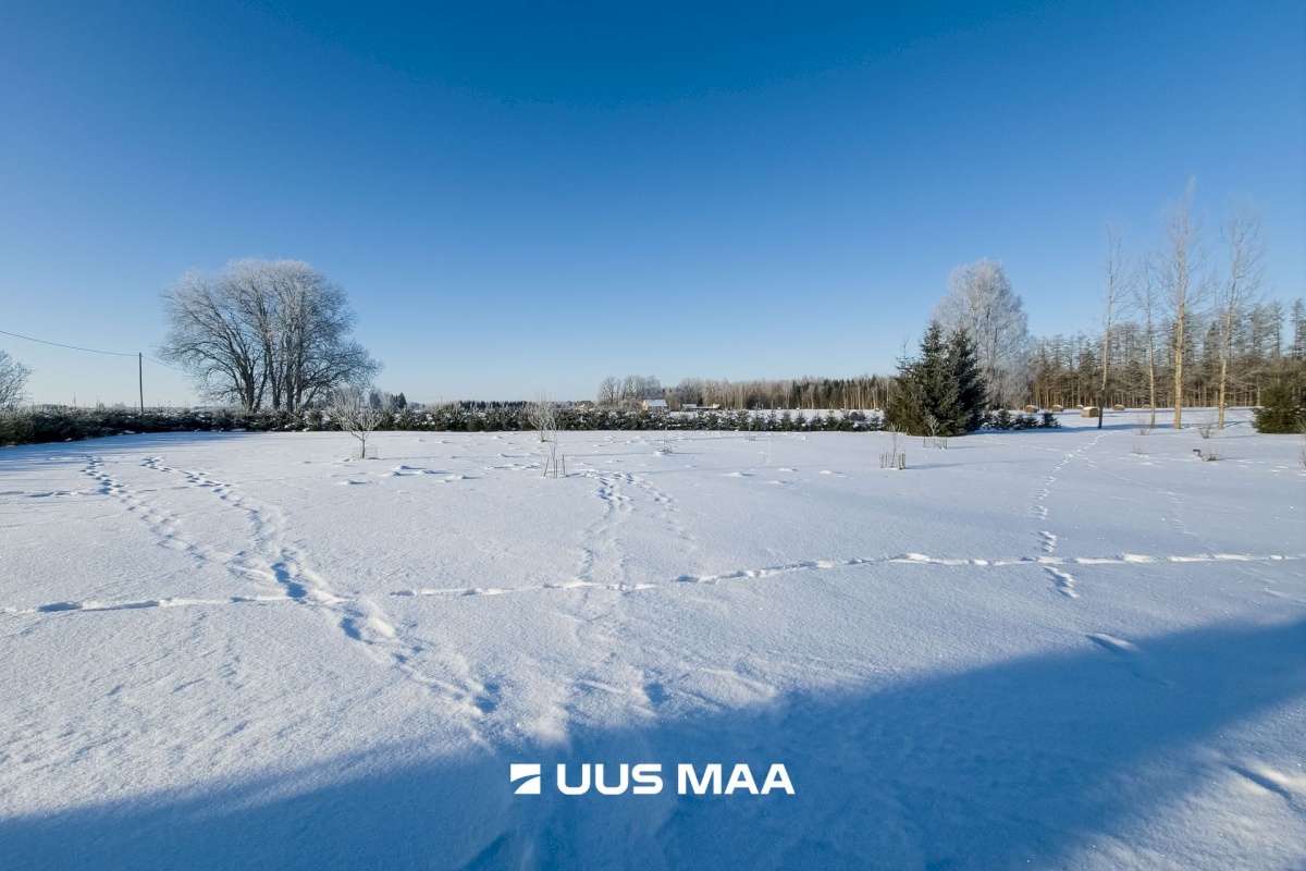 Mulgi vald, Kaarli küla, Jaanikase